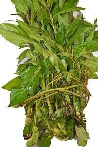 Efo soko Bundle