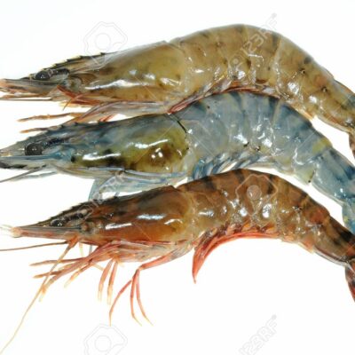 Fresh prawn sellomarket