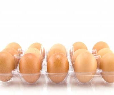 Half Fresh Eggs sellomarket
