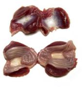 chicken_gizzard_1_kg