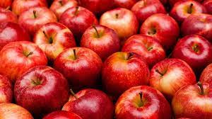 Apple red 1 dozen