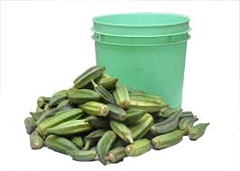Okro custard paint